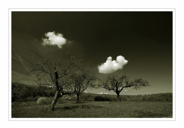 Fotogalerie von Volker Reinhart (© 2006-2019)